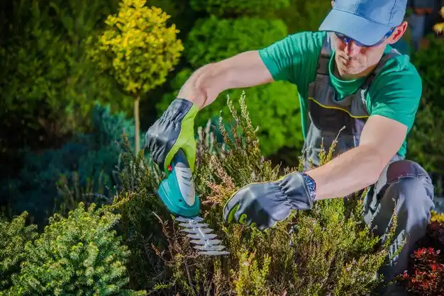 landscaping services Crittenden